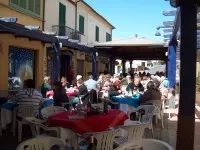 Festival del pesce azzurro