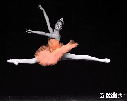 ELBA IN DANZA 2013