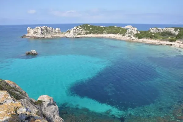 Escursioni guidate a Pianosa - La natura da conservare