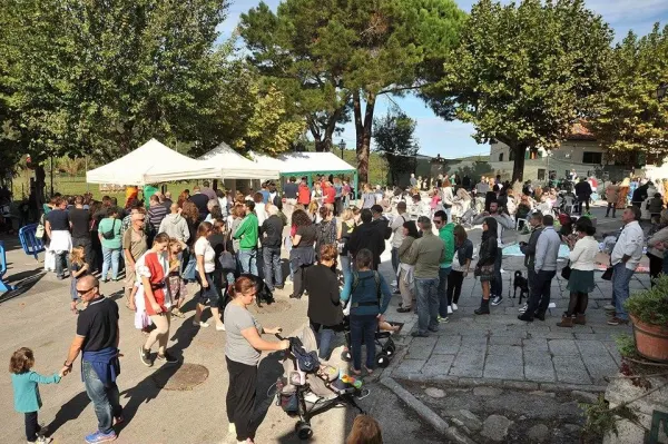 Festa del Maggio
