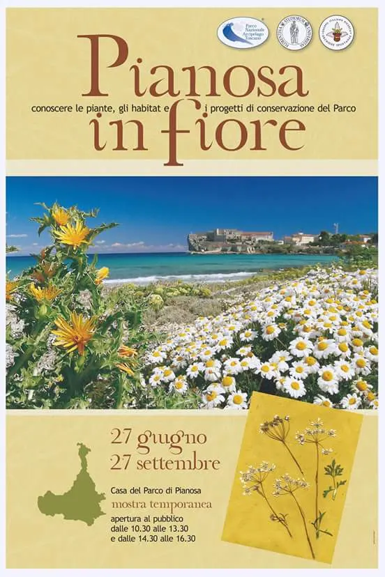 Pianosa in fiore - mostra temporanea