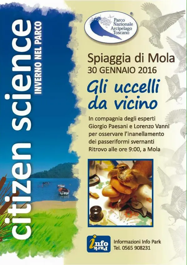 Gli uccelli da vicino