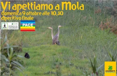 Passeggiando alla scoperta di Mola