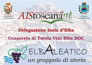 Elbaleatico, un grappolo di storia