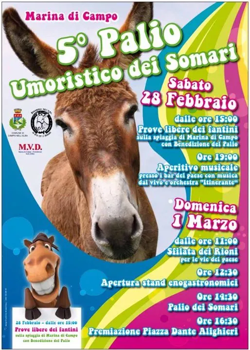 Palio dei somari 