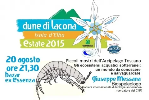 Estate 2015 - Dune di Lacona