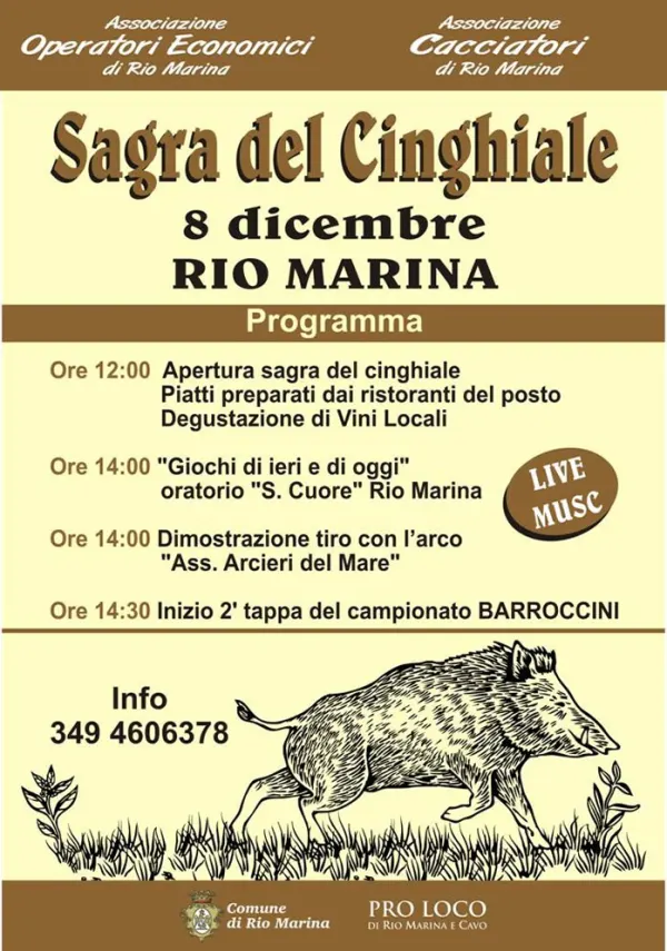 Sagra del Cinghiale
