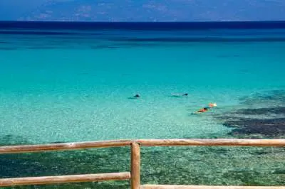 Isola di Pianosa: alla scoperta della biodiversità