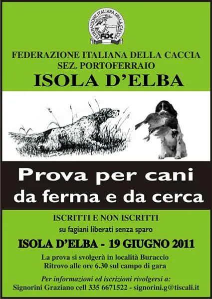 Prova per cani da ferma e da cerca