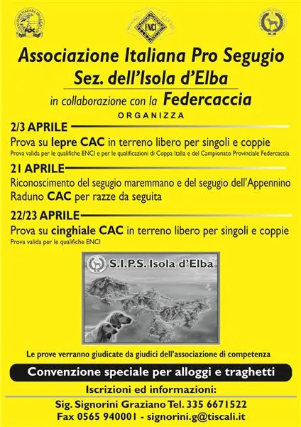 Gara di caccia