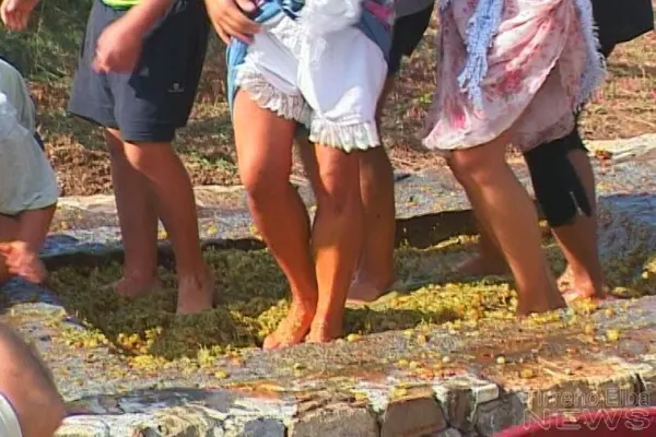 Festa di fine vendemmia all'Azienda Montefabbrello