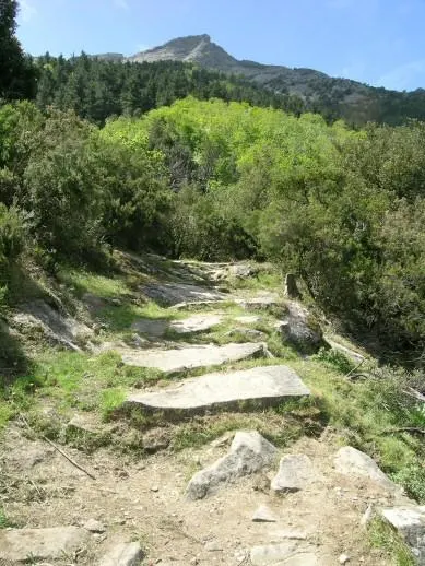 Gli anelli del "Raggio Verde"