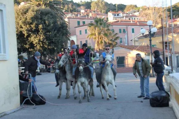 Corsa degli asini, VII Palio dei Comuni