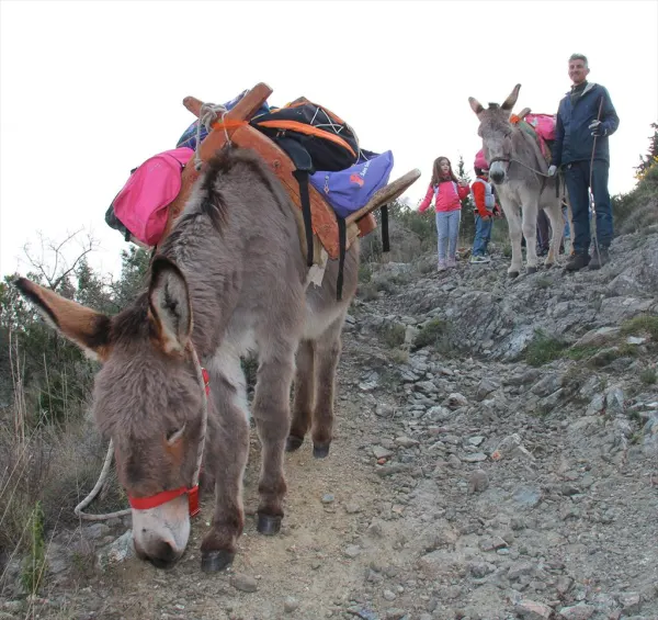 Trekking con la Somareria