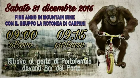 Uscita di fine anno in Mountain Bike