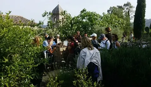 Passeggiando a colori con il naso all’insù, dal Capannello verso il Monte Strega 