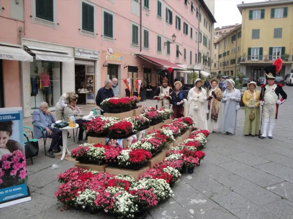 L'AZALEA DELLA RICERCA