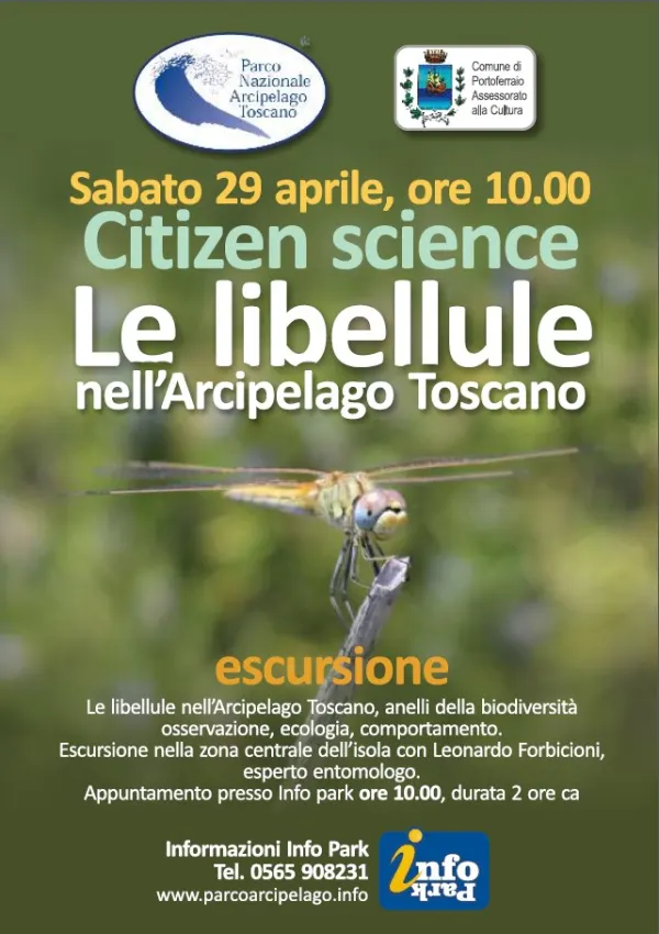 Citizen Science con il Parco  per conoscere  le libellule nell’Arcipelago Toscano