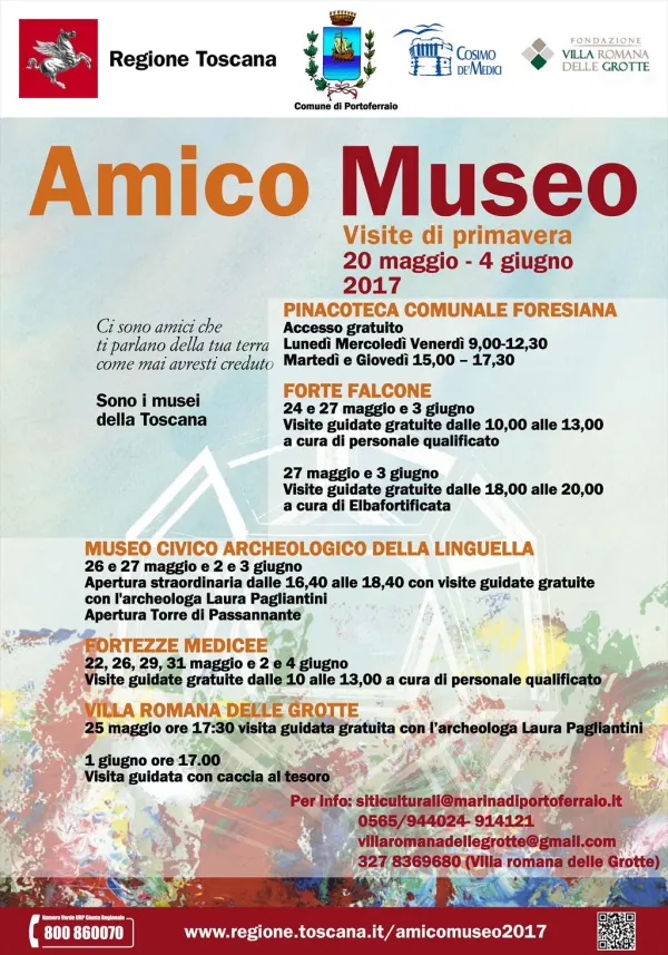 AMICO MUSEO 2017