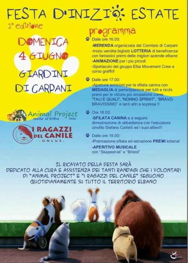 Festa d'inizio estate