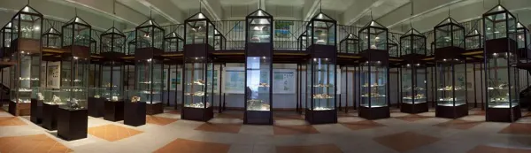 Notti dell'Archeologia- La Terra di Rio, proiezione documentario