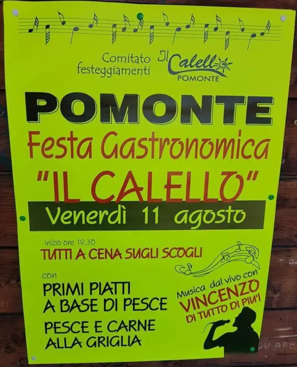 Festa Gastronomica