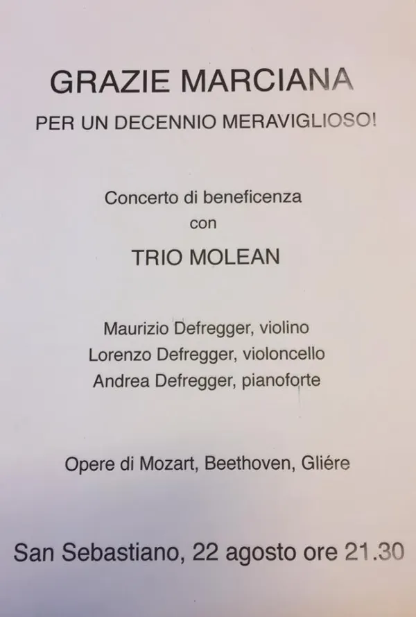 Concerto di beneficenza con Trio Molean