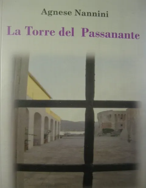 Presentazione libro "La Torre del Passanante" - Agnese Nannini