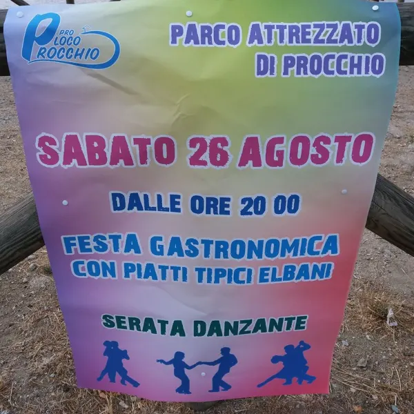 Festa Gastronomica