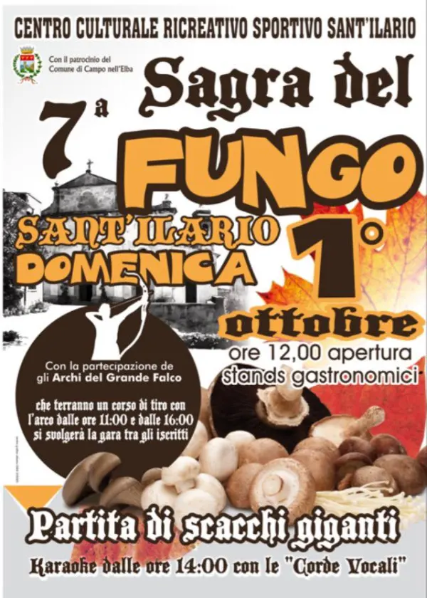Sagra del Fungo
