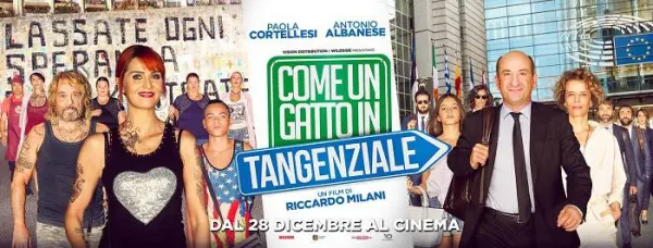 Come un gatto in tangenziale