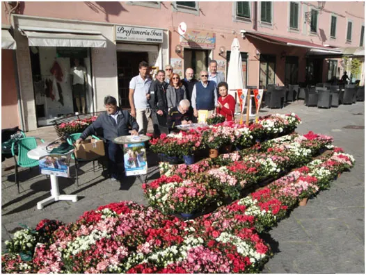 Azalea della Ricerca a favore dell'AIRC
