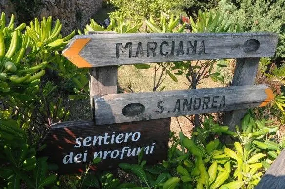 Passeggiata sentiero dei profumi