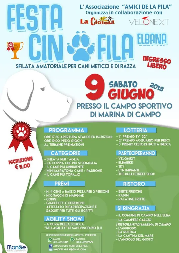 Festa Cinofila