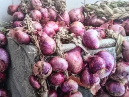 Ramadoro Festival - La cipolla di Patresi, cena sul mare con narrazioni del gusto