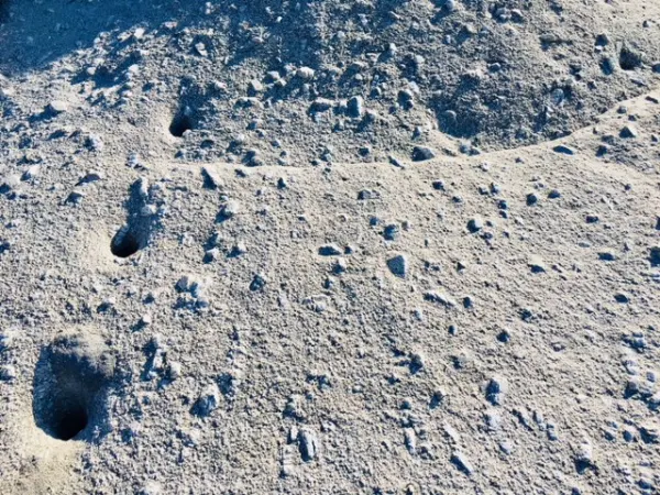 Mondlandschaft (dal tedesco : Paesaggio lunare)