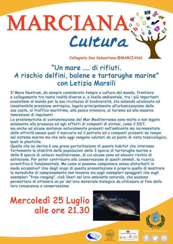 Un mare... di rifiuti. A rischio delfini, balene e tartarughe marine