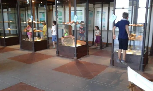 Caccia al tesoro nascosto del Museo - Attività per ragazzi