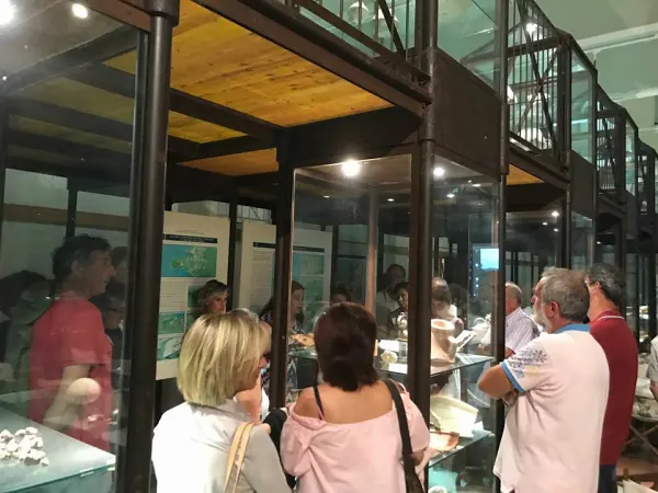 Visita alla scoperta del Museo archeologico del Distretto minerario