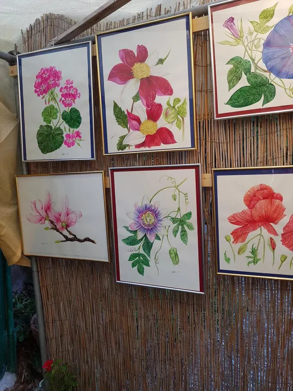 Flowers - mostra acquerello botanico