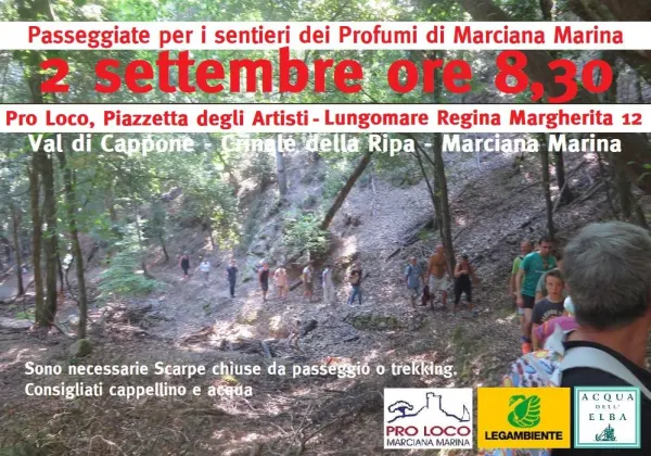 Passeggiata sentiero dei profumi