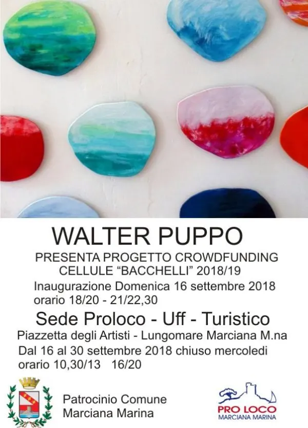 Presentazione Cellule "Bacchelli"