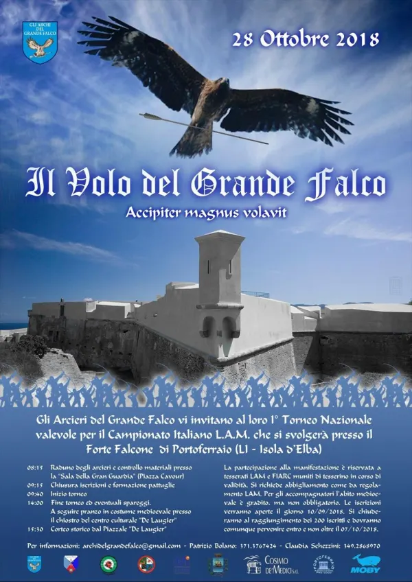 Il volo del grande falco