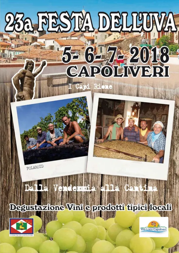 Festa dell'uva