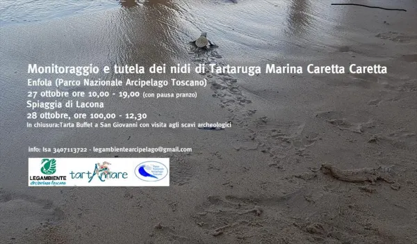 Monitoraggio e tutela dei nidi di Tartaruga Marina - EVENTO ANNULLATO
