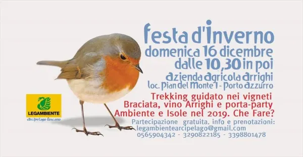 Festa d'inverno