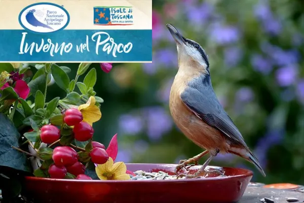 Inverno nel Parco - Birdgardening per tutti