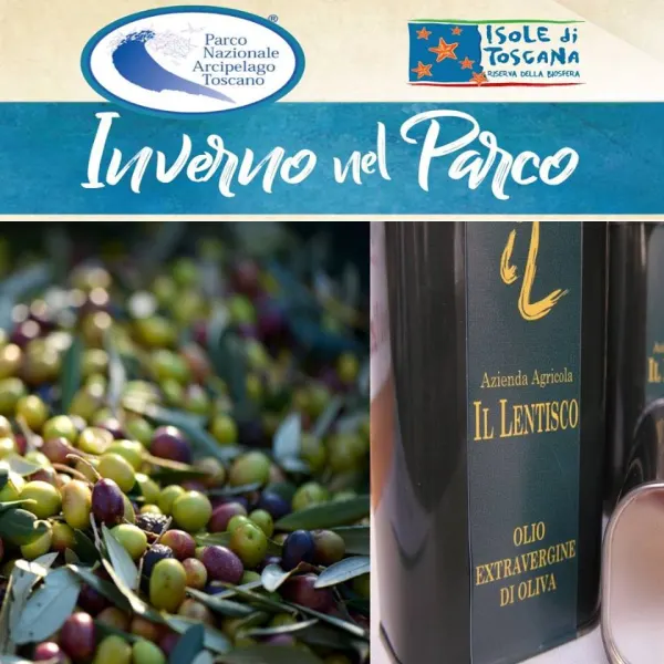 Laboratori di Elba Taste - L'olio