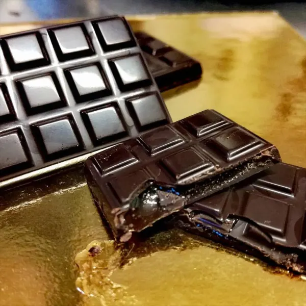 Laboratori di Elba Taste - Il cioccolato