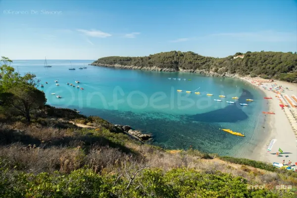 Pulizia della spiaggia